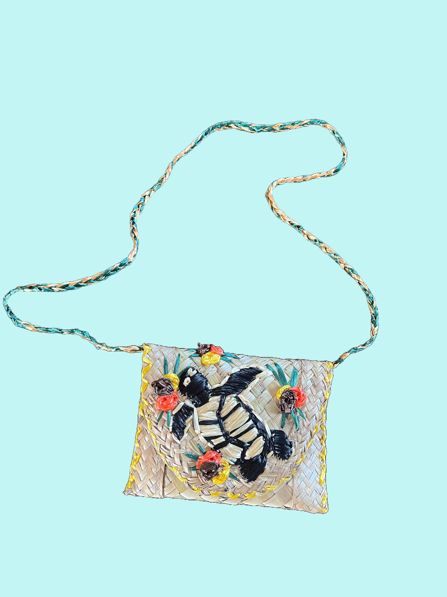Grass Purse Turtle 1