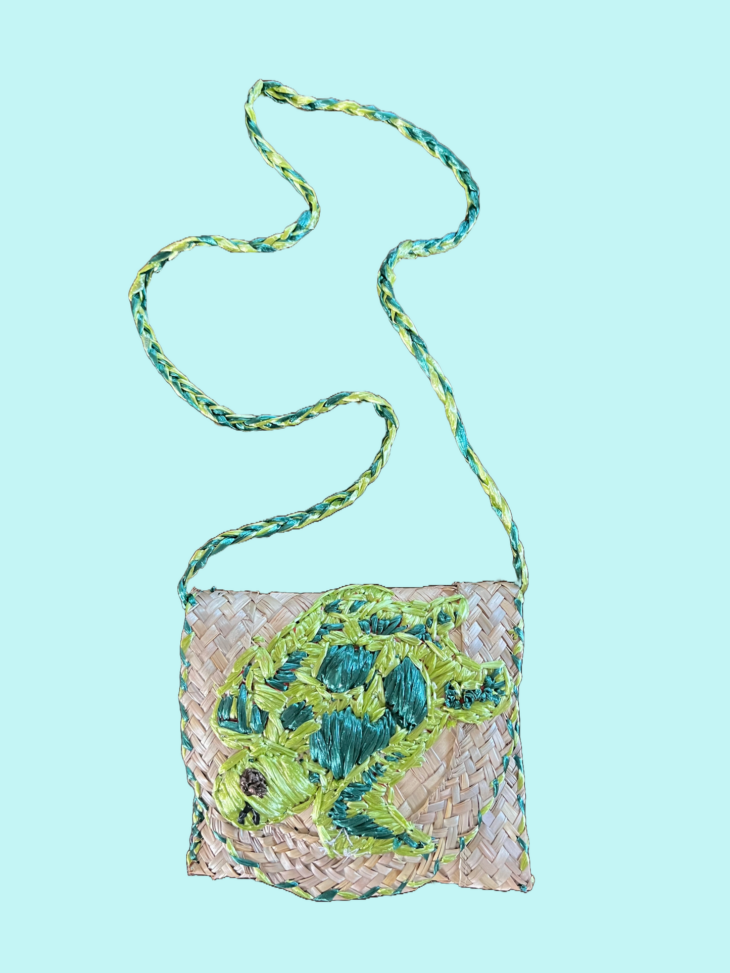 Grass Purse Turtle 4